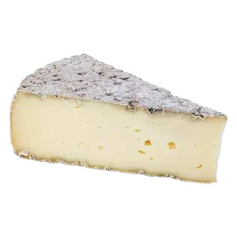 Porter Tomme Style Cheese