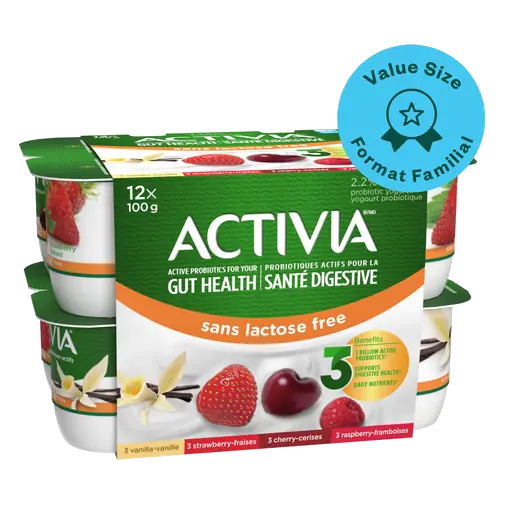 Lactose-Free Probiotic Yogurt Vanilla Raspberry Cherry Strawberry 12 x 100 g