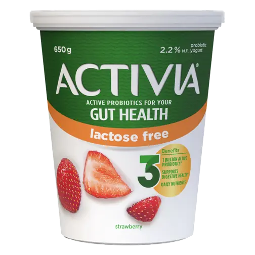 Lactose-Free Probiotics Yogurt Strawberry 650 g
