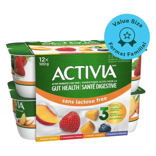Lactose-Free Probiotics Yogurt Strawberry Blueberry Peach Mango Value Size 12 x 100 g