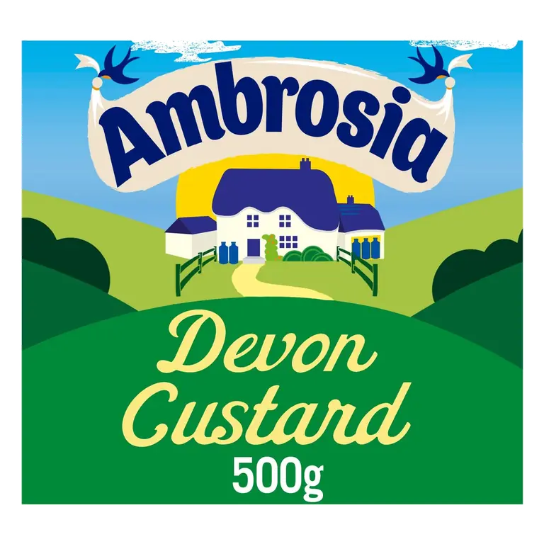 Devon Custard Dessert Carton 500g