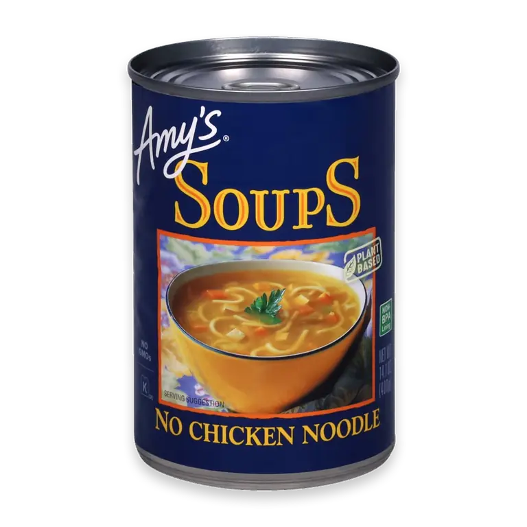 Organic No Chicken Noodle Soup