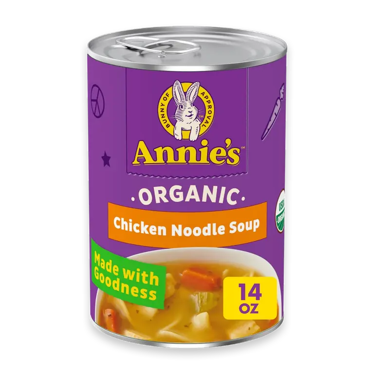 Organic Chicken Noodle Soup