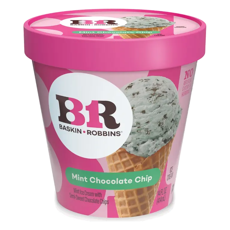 Mint Chocolate Chip Ice Cream