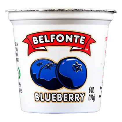 Belfonte Lowfat Blueberry Yogurt