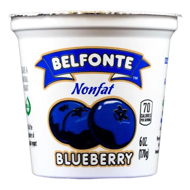 Belfonte Nonfat Blueberry Yogurt