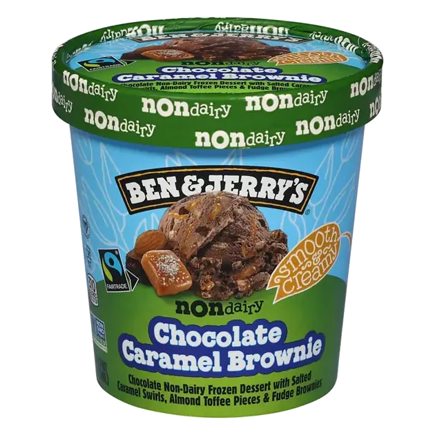 Chocolate Caramel Brownie Non-Dairy Frozen Dessert