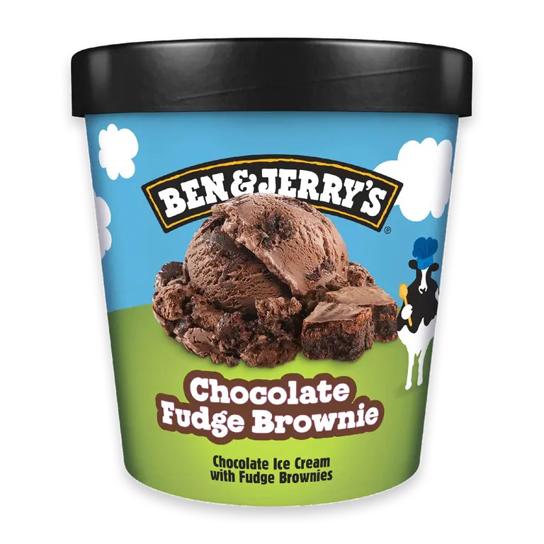 Chocolate Fudge Brownie Ice Cream Tub