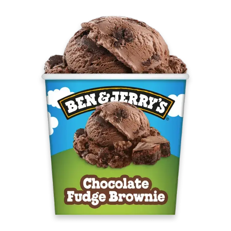 Chocolate Fudge Brownie