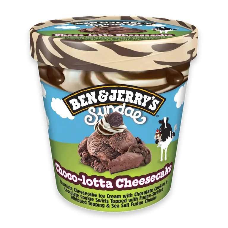 Ice Cream Chocolotta Cheesecake Flask