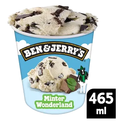 Minter Wonderland Ice Cream Tub
