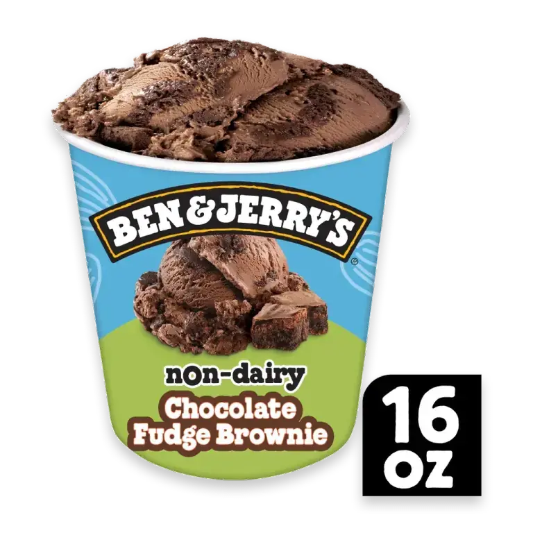 Non-Dairy Chocolate Fudge Brownie Frozen Dessert