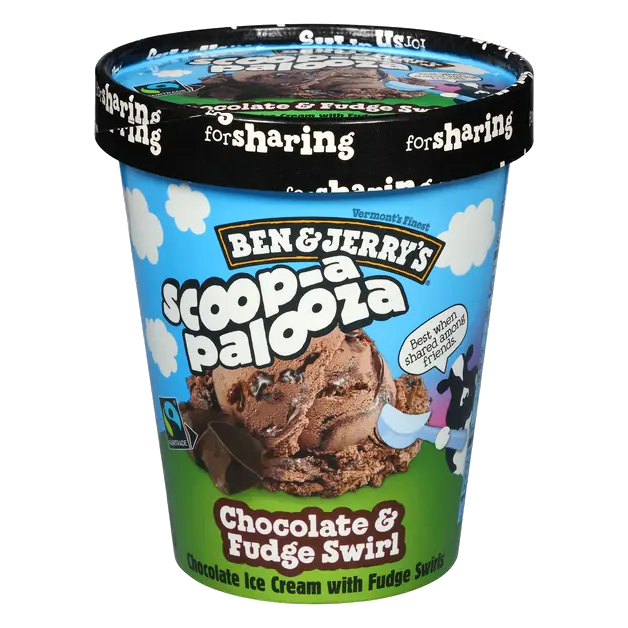 Scoop-a-Palooza Chocolate & Fudge Swirl Ice Cream