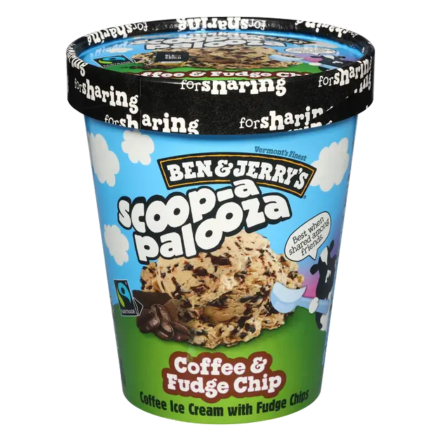 Scoop-a-Palooza Coffee & Fudge Chip Ice Cream
