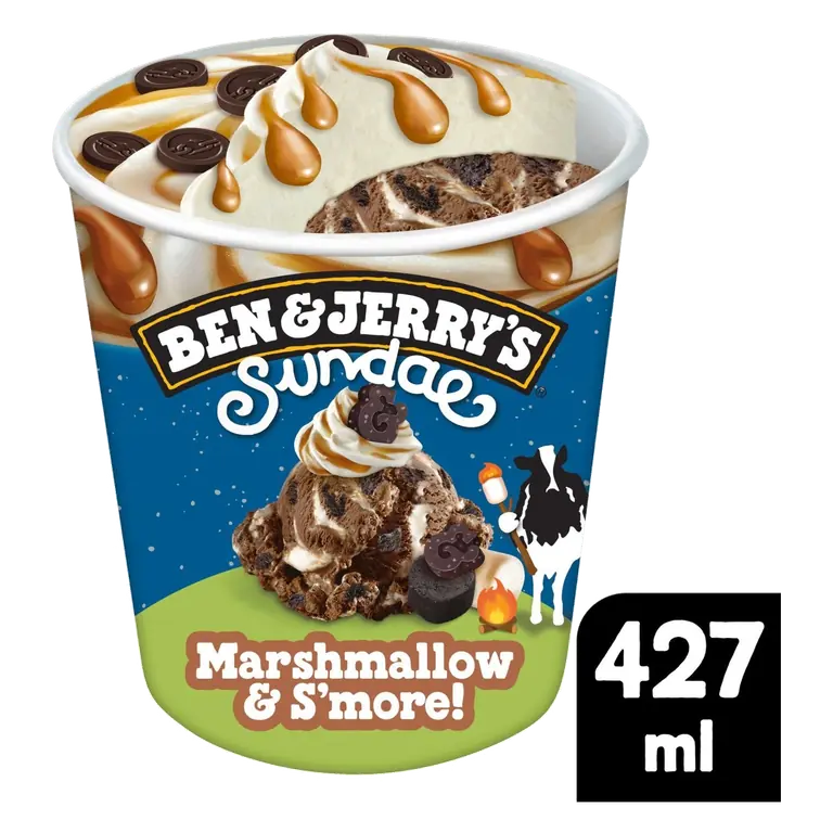 Sundae Marshmallow & S'more! Chocolate Ice Cream Tub 427ml