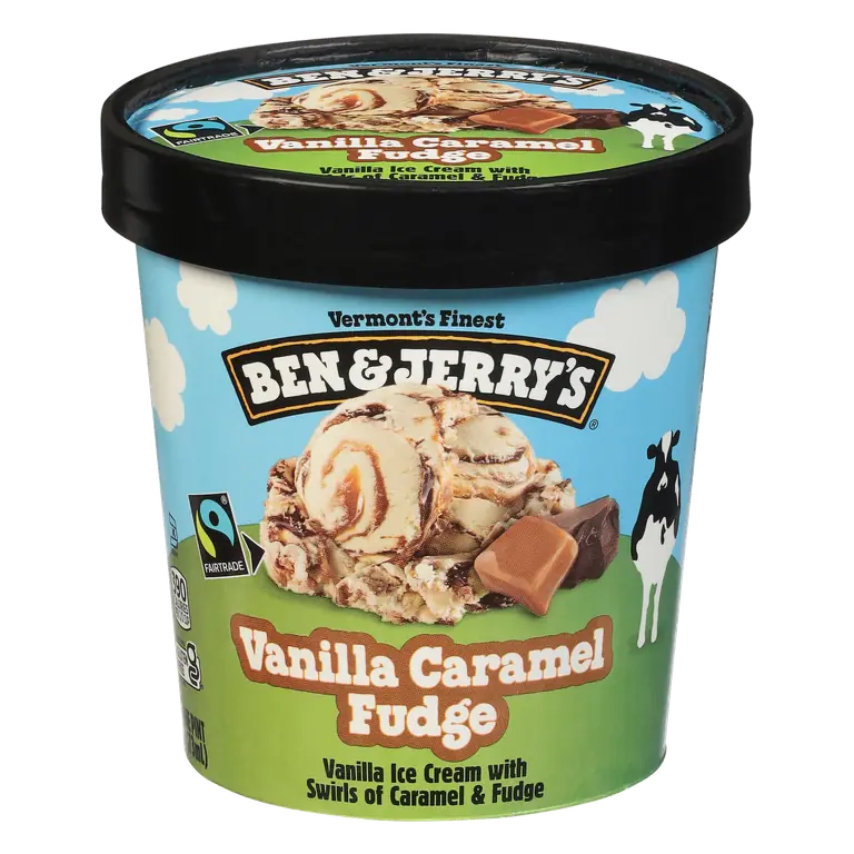 Vanilla Caramel Fudge Ice Cream