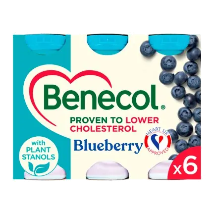 Blueberry Yogurt Drinks