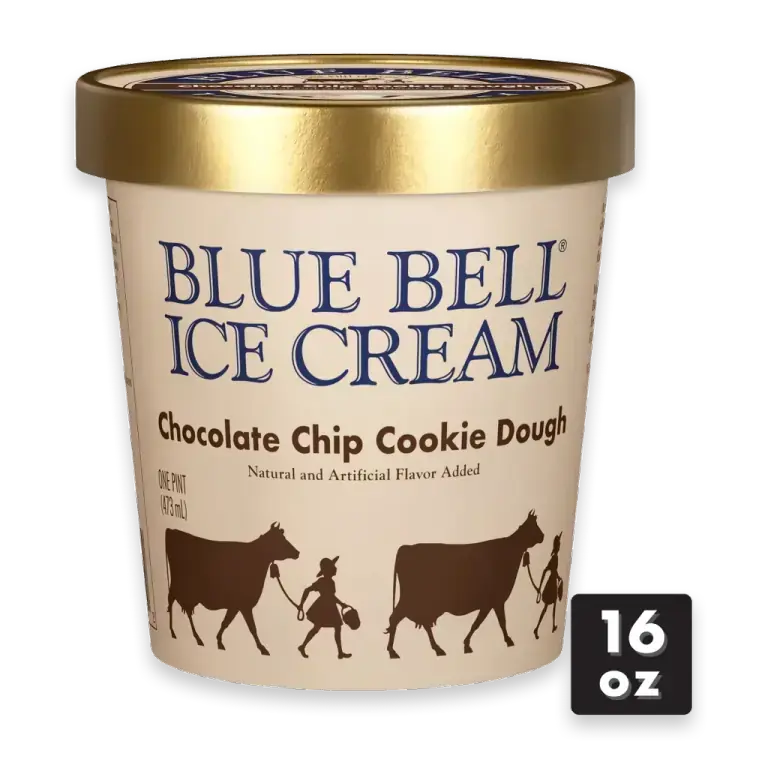 Chocolate Chip Cookie Dough Ice Cream Pint