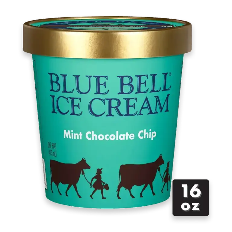 Mint Chocolate Chip Ice Cream Pint