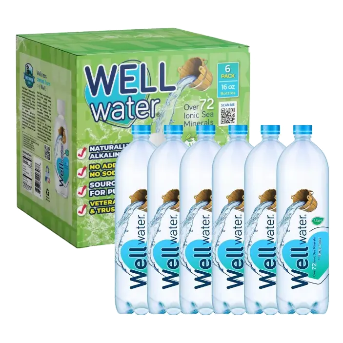 Body Aqua Well Water Alkaline Mineral Water 16 fl oz (6-Pack)