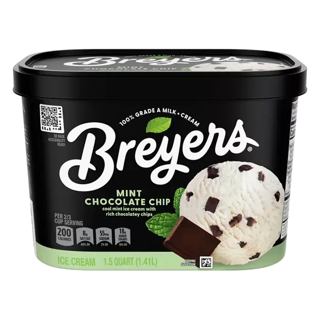 Mint Chocolate Chip Ice Cream