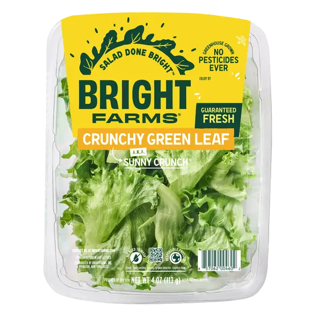 Sunny Crunch Green Leaf Lettuce