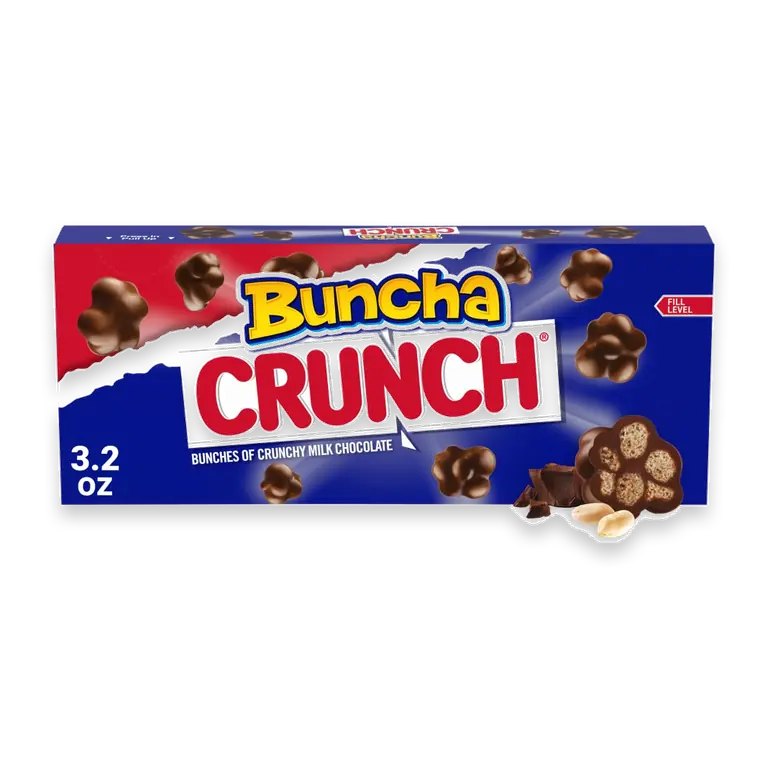 Candy Pieces of Creamy Milk Chocolate with Crisped Rice Movie Theater Candy