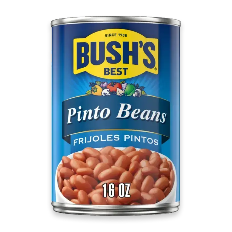 Bush's Pinto Beans 16 oz
