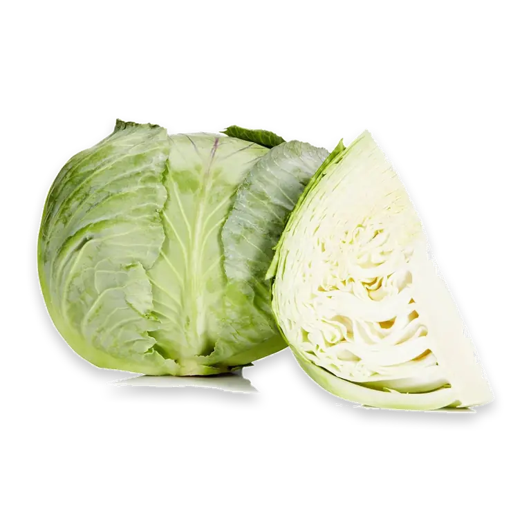 Cabbage Green Whole