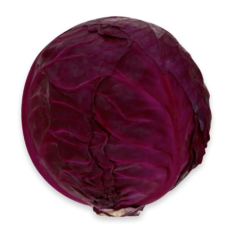 Cabbage Red Whole