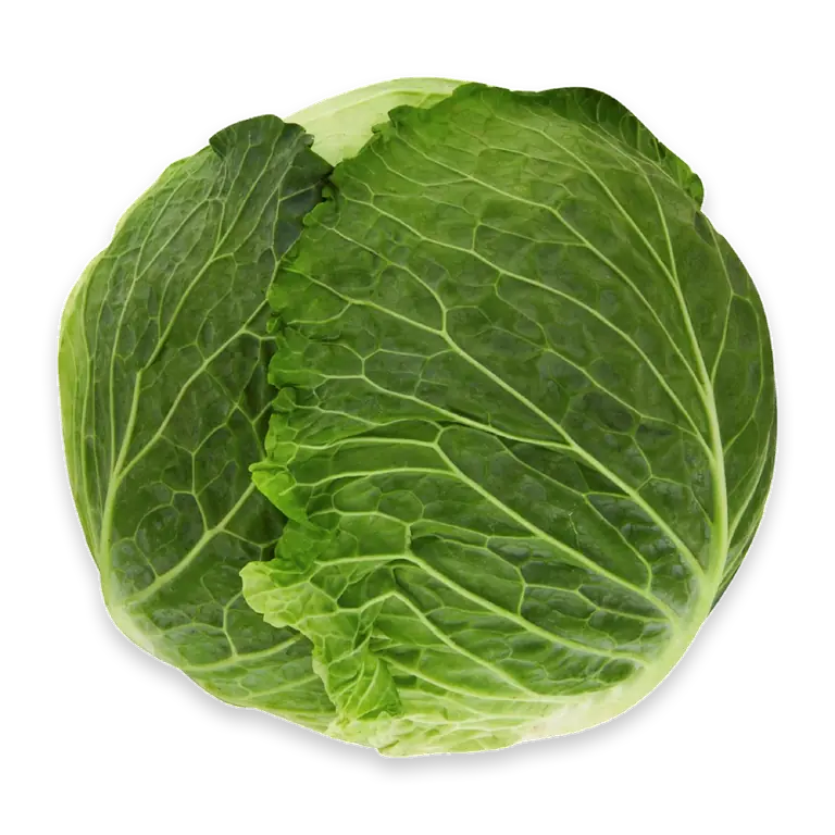 Cabbage Savoy Whole