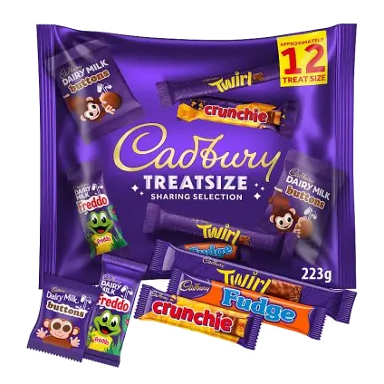 Family Treatsize Chocolate Multipack 12 Pack
