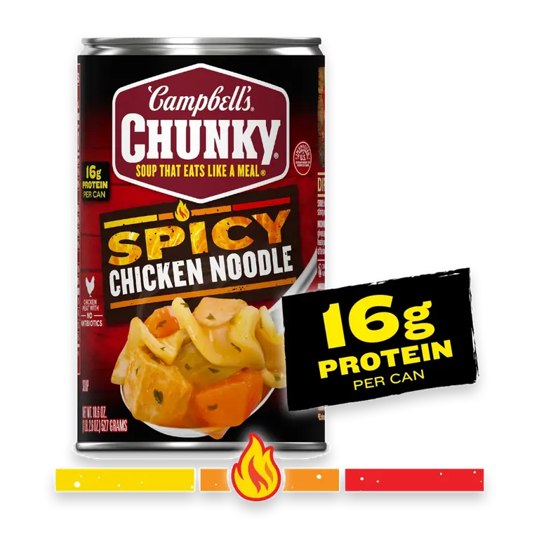 Chunky Spicy Chicken Noodle Soup 18.6 oz Can
