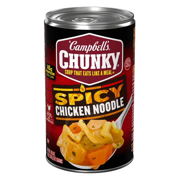 Spicy Chicken Noodle Soup