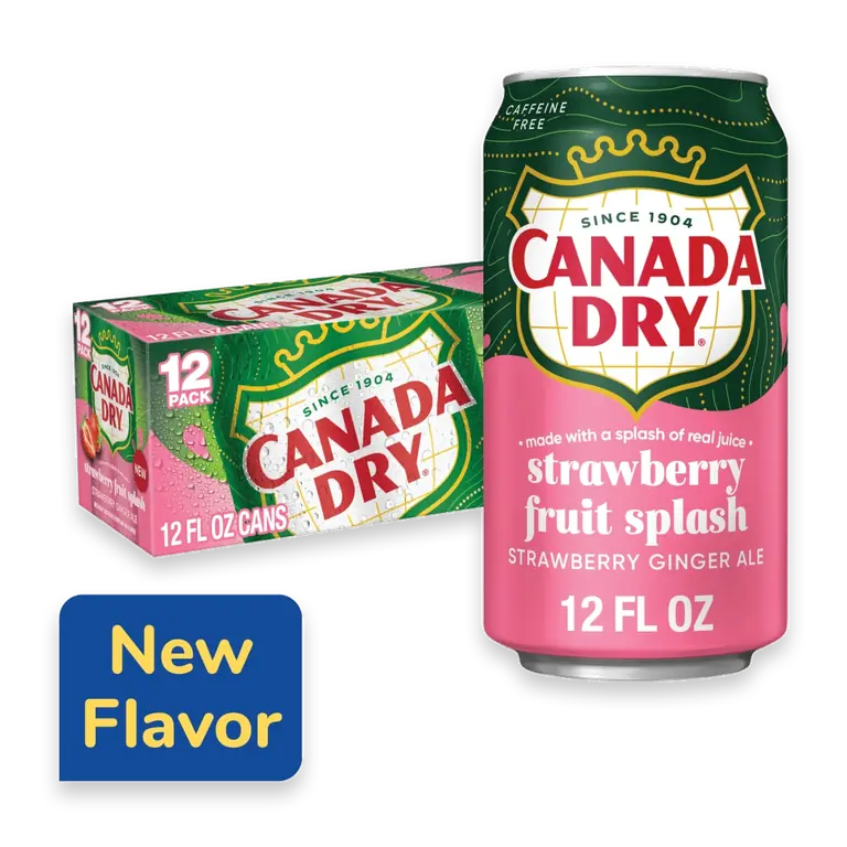 Fruit Splash Strawberry Ginger Ale Soda Cans