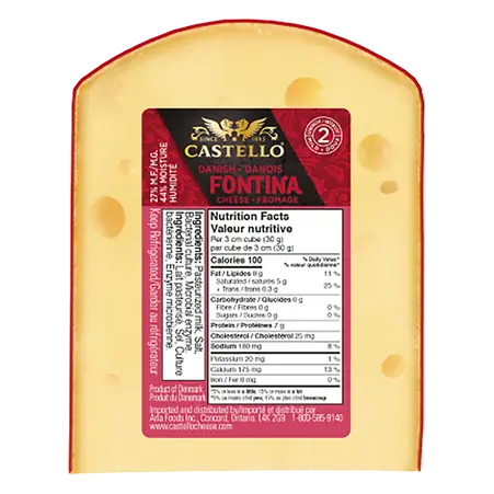 Cheese Fontina