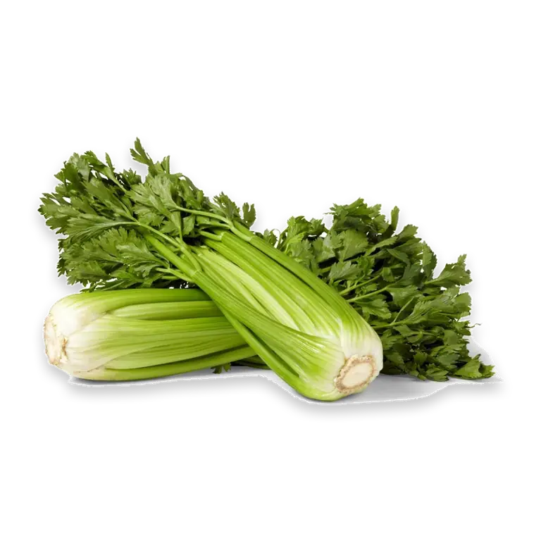 Celery Fresh Whole