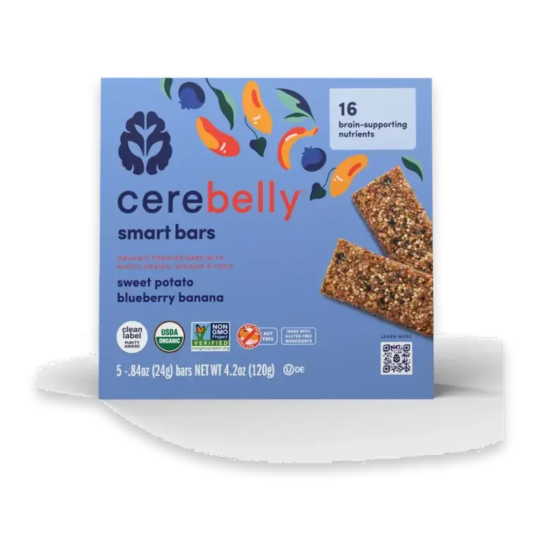 Organic Toddler Blueberry Banana Sweet Potato Smart Snack Bars 5PK