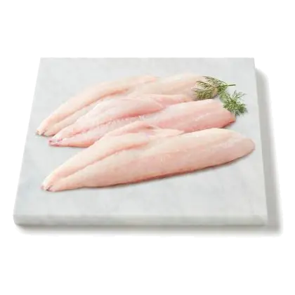 Fresh Wild Tropical Snapper Fillet Skin Off