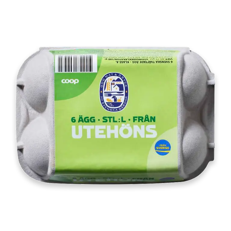 Ägg 6-pack L Frigående utomhus