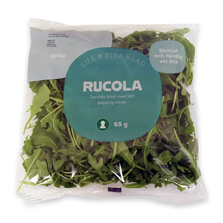 Rucola