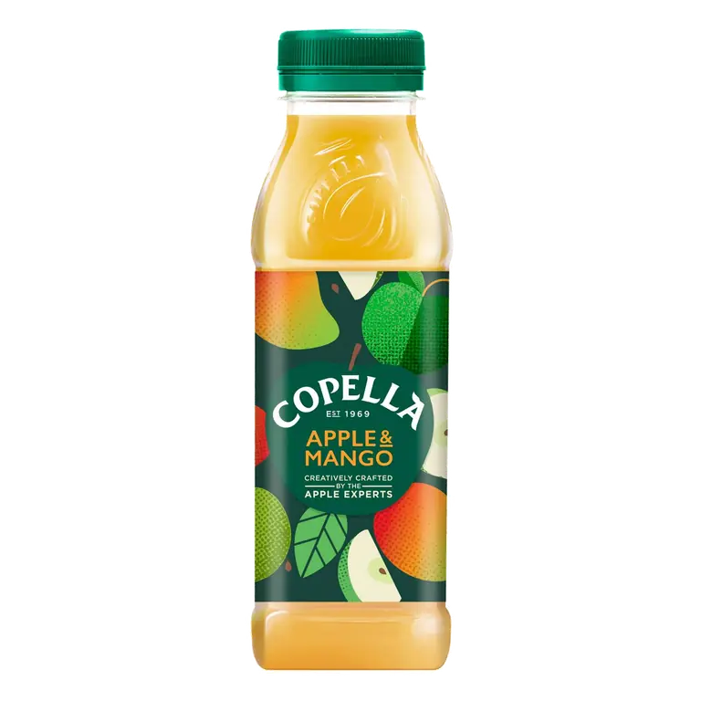 Apple & Mango Fruit Juice 300ml