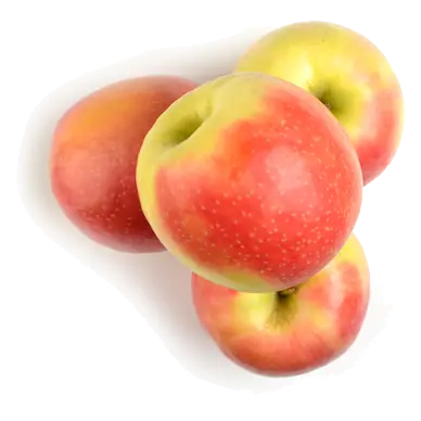 Cripps Pink Apple 3 Count