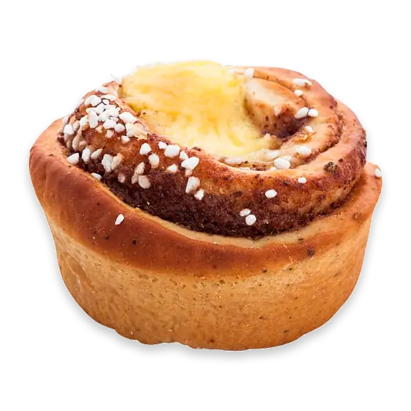 Solsnäcka