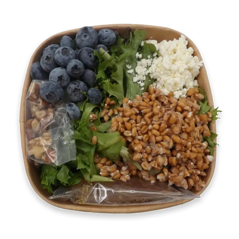 Blueberry & Walnut Salad