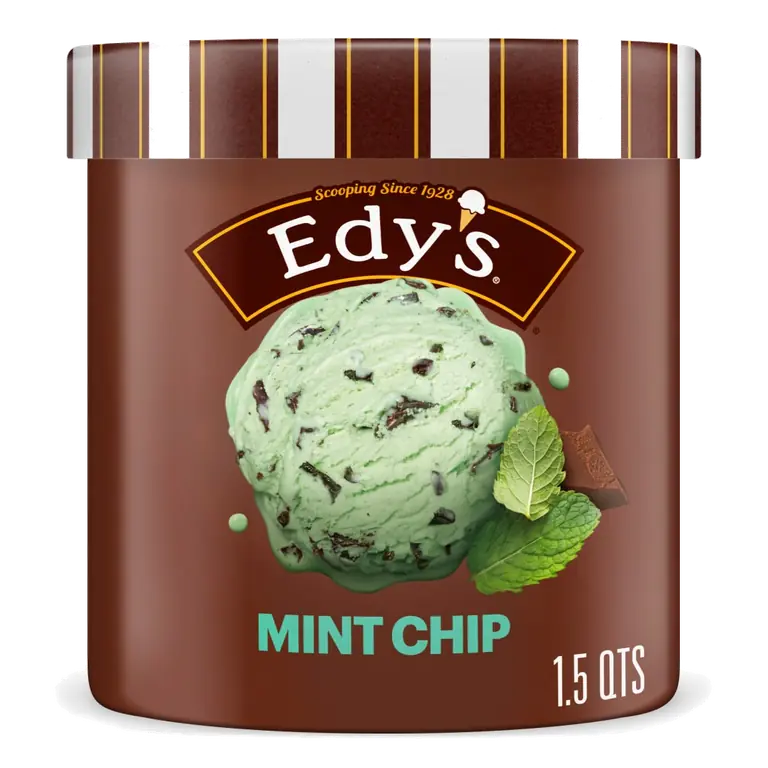 Mint Chocolate Chip Ice Cream