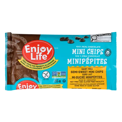 Dairy-Free Mini Chocolate Chips Semi-Sweet 255 g