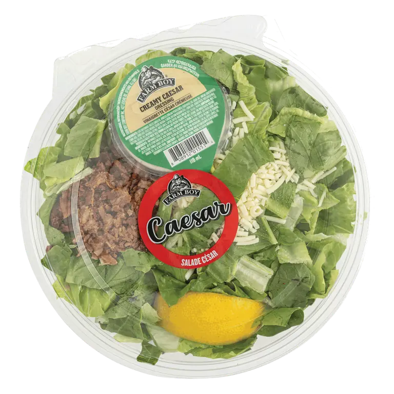 Farm Boy™ Caesar Salad (575 g)