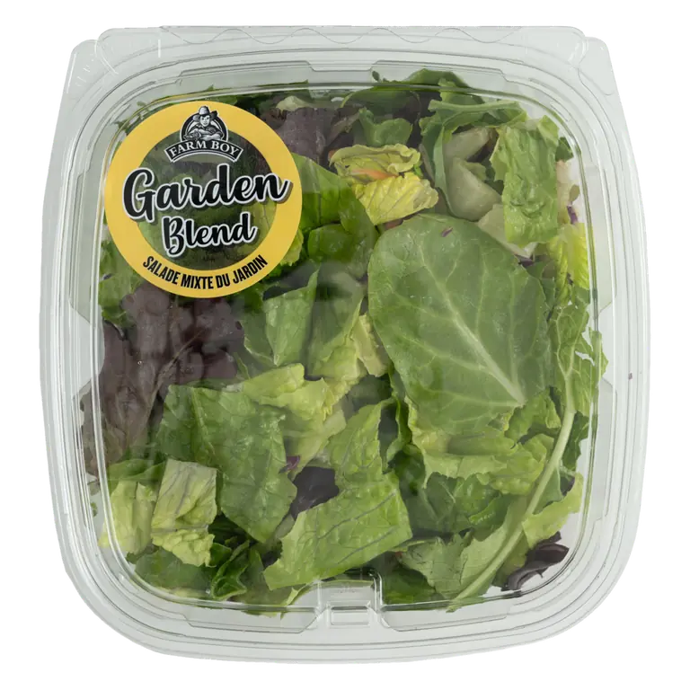 Farm Boy™ Garden Salad Blend (425 g)