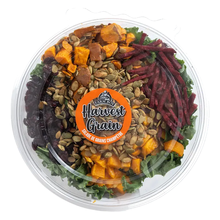 Farm Boy™ Harvest Grain Salad (830 g)